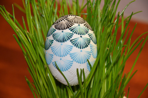 Kraslice kachní "OMBRÉ" - domodra — foto 2