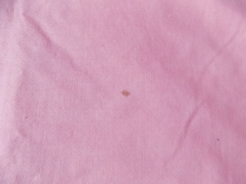 Růžový ubrus naší babičky — foto 3