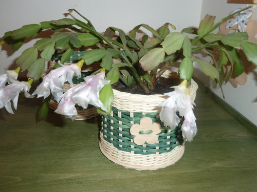 Set košíků — foto 2