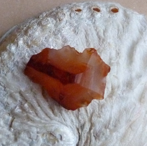 Karneol surový - 3,5 cm — foto 5