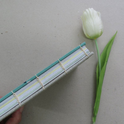 Notes Liška nebeská — foto 3