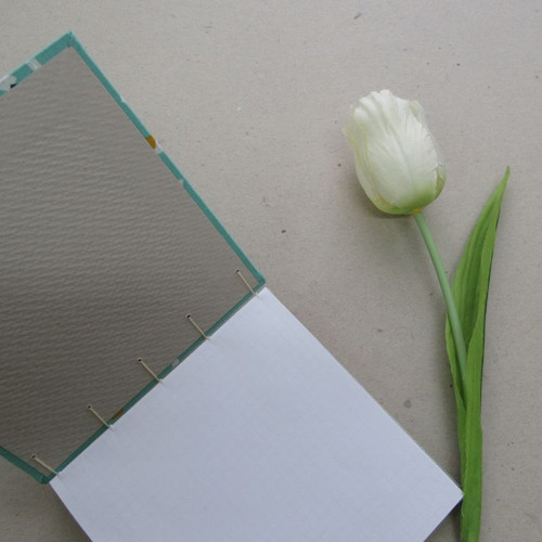 Notes Liška nebeská — foto 4