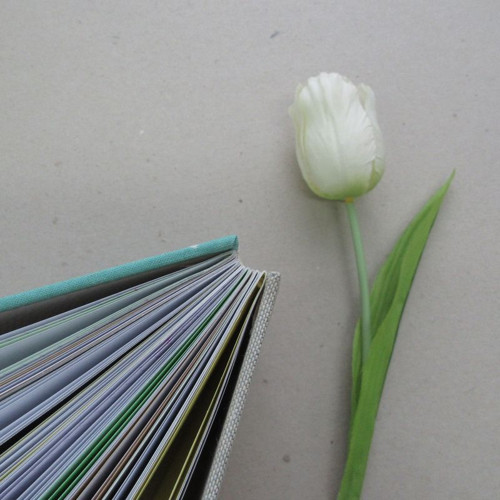 Notes Liška nebeská — foto 5