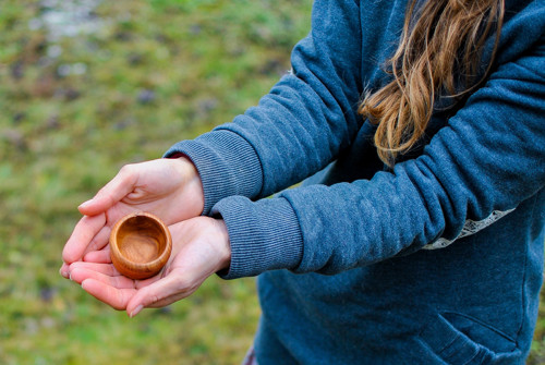 Švestka v hrsti — foto 2