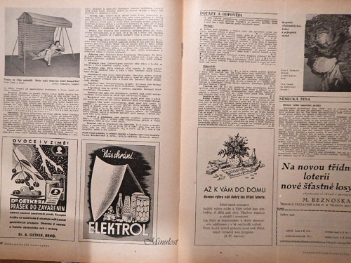 Českomoravská HOSPODYŇKA, — foto 2
