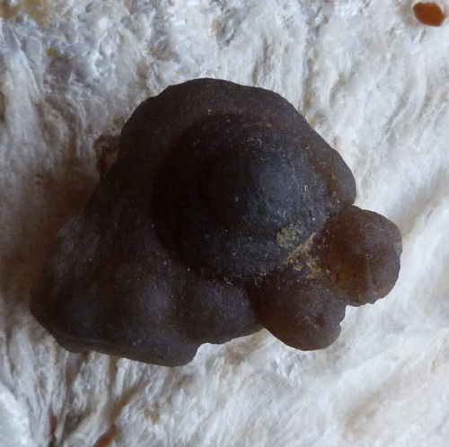 Chalcedon - 3,5 cm — foto 6