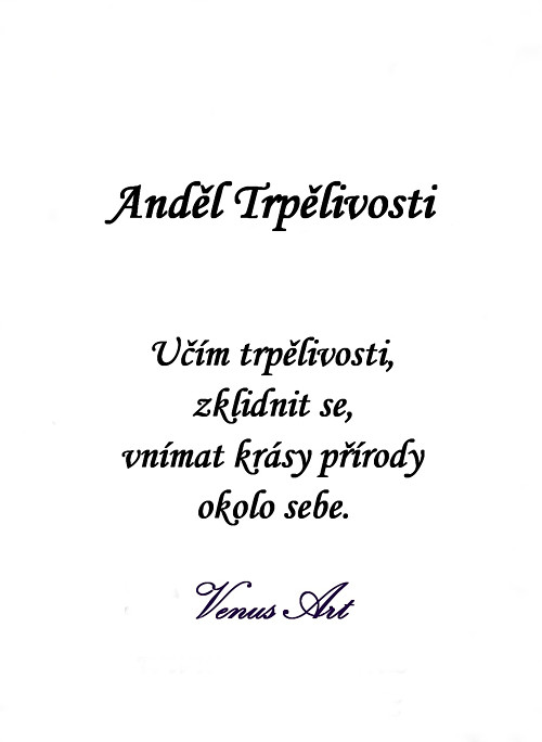 Kartička ANDĚL TRPĚLIVOSTI — foto 4