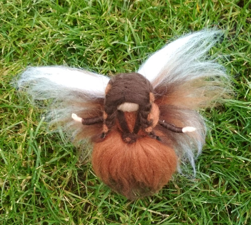 Elfinka Zeměnka — foto 2