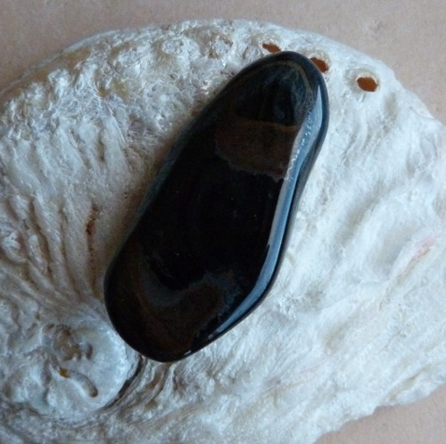 Sokolí oko - 5,3 cm — foto 3