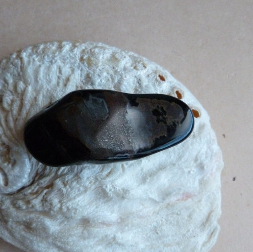 Sokolí oko - 5,3 cm — foto 5