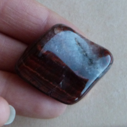 Býčí oko - 3,8 cm — foto 2