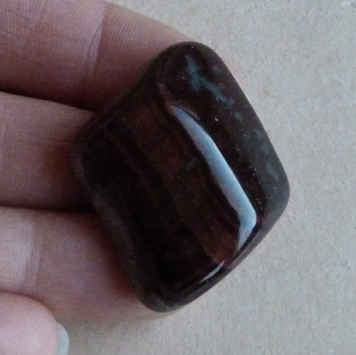 Býčí oko - 3,8 cm — foto 3