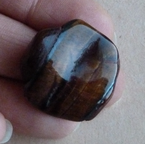Býčí oko - 2,6 cm — foto 2
