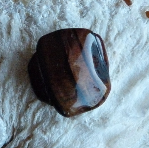 Býčí oko - 2,6 cm — foto 3