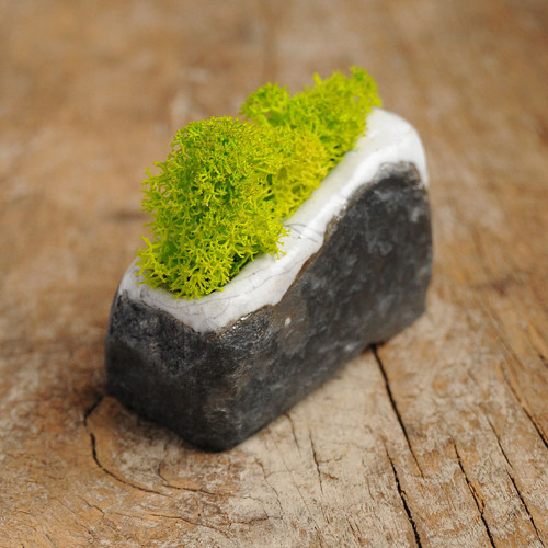 Miniatúrna RAKU záhrada — foto 3