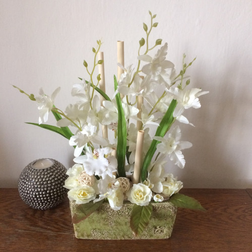 Bílé orchideje — foto 6