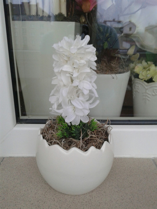Hyacinty ve skořápce.Objednávka — foto 2