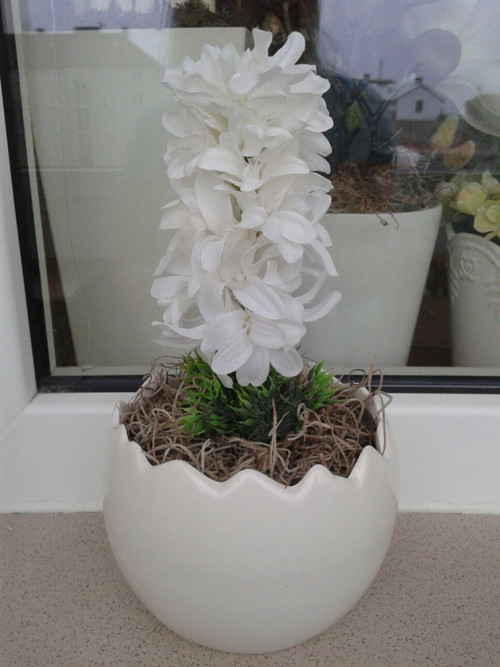 Hyacinty ve skořápce.Objednávka — foto 3