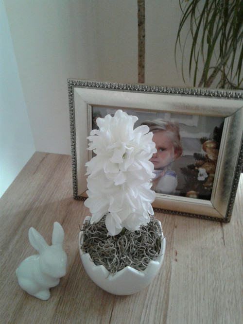 Mini skořápka — foto 2