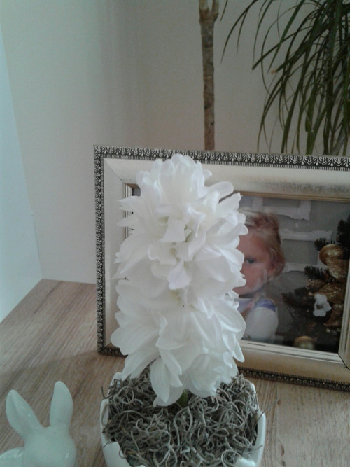 Mini skořápka — foto 3
