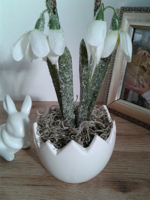 Mini skořápka — foto 2