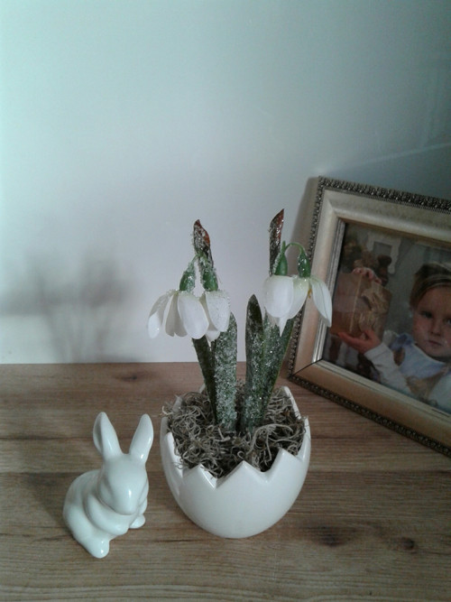 Mini skořápka — foto 3