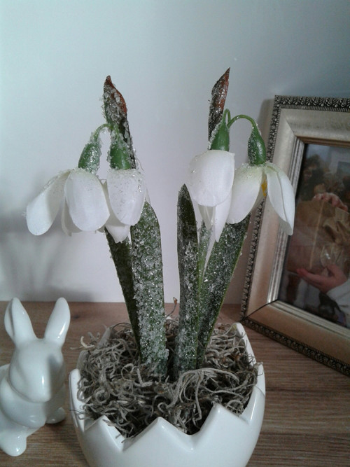 Mini skořápka — foto 4
