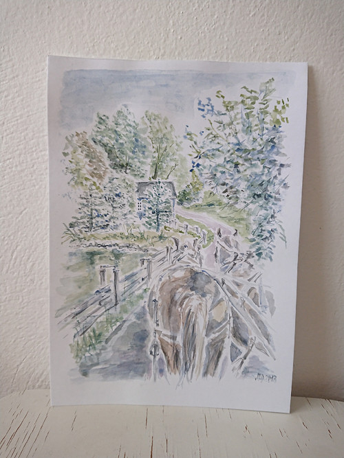 Koňské spřežení — foto 2