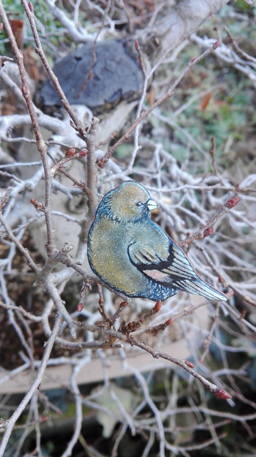 Zelený (khaki) ptáček — foto 3