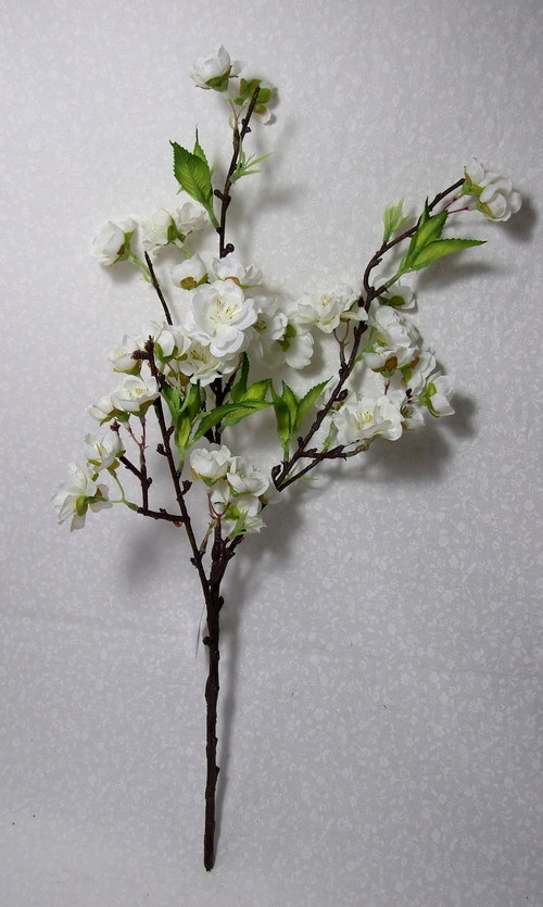 Rozkvetlá třešeň 80 cm — foto 2