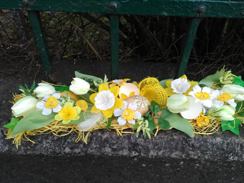 Jarní na parapet — foto 5