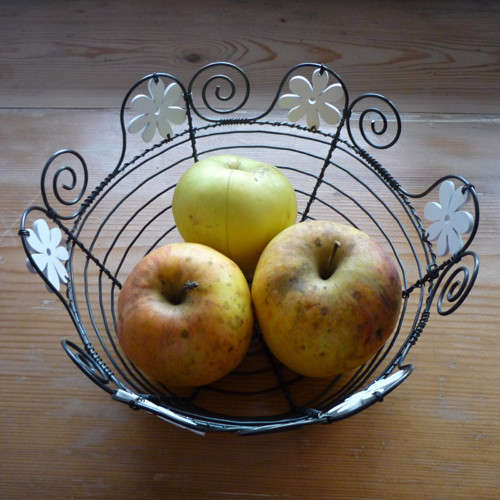 Miska bíle kvetoucí — foto 3