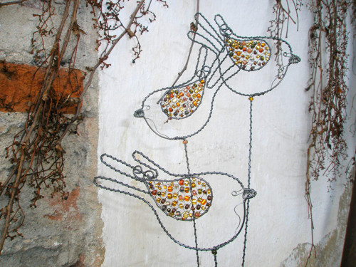 Ptačí zápichy — foto 2