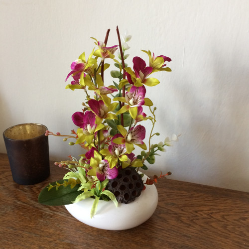 Orchideje — foto 4