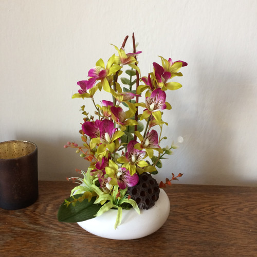 Orchideje — foto 6