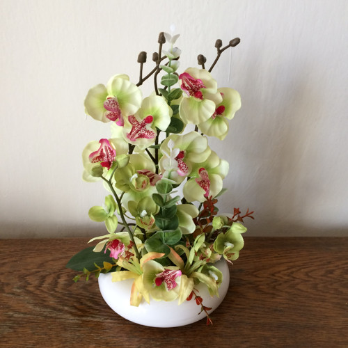 Orchideje 2 — foto 2