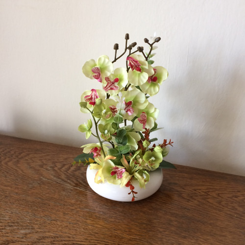 Orchideje 2 — foto 3