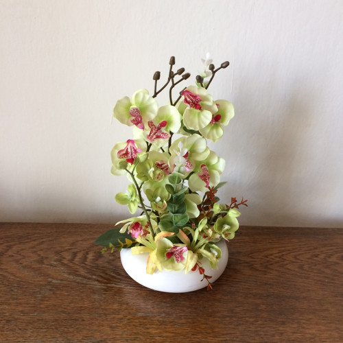 Orchideje 2 — foto 4