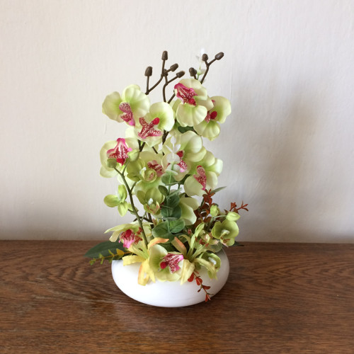 Orchideje 2 — foto 5