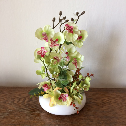 Orchideje 2 — foto 6