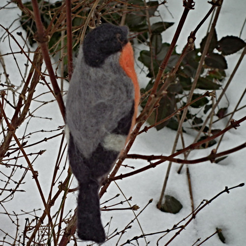 Hýl - na objednávku — foto 3