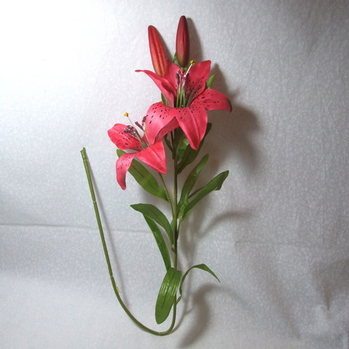 Lilie růžová 80 cm — foto 2