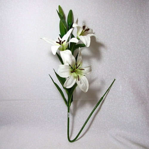 Lilie bílá 70 cm — foto 2