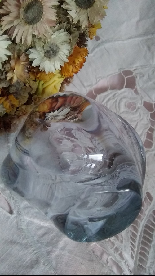 Fialková hutní ...... vázička — foto 4