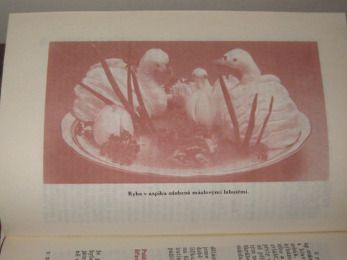 Anuše Kejřová - Úsporná kuchařka — foto 3