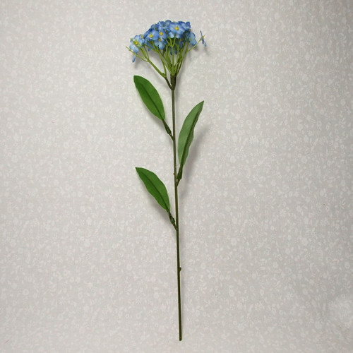 Pomněnky — foto 2