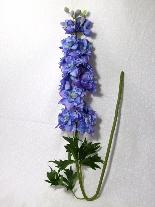 Delphinium plnokvěté modré 85 cm — foto 2