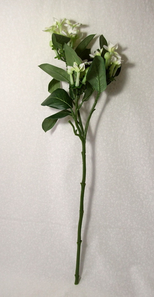 Stephanotis 58 cm — foto 2