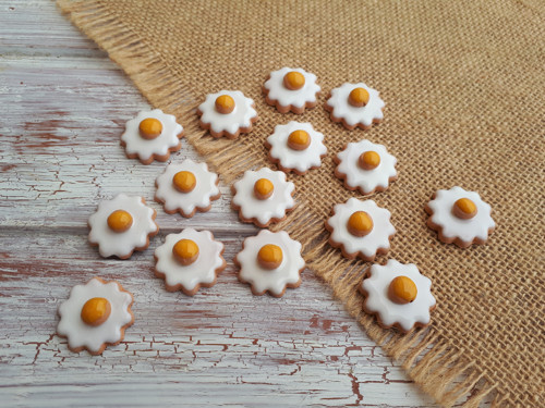 MINI kopretinky — foto 4