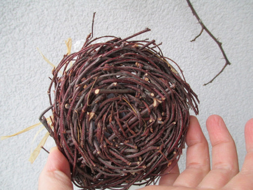 Hnízdečko — foto 2